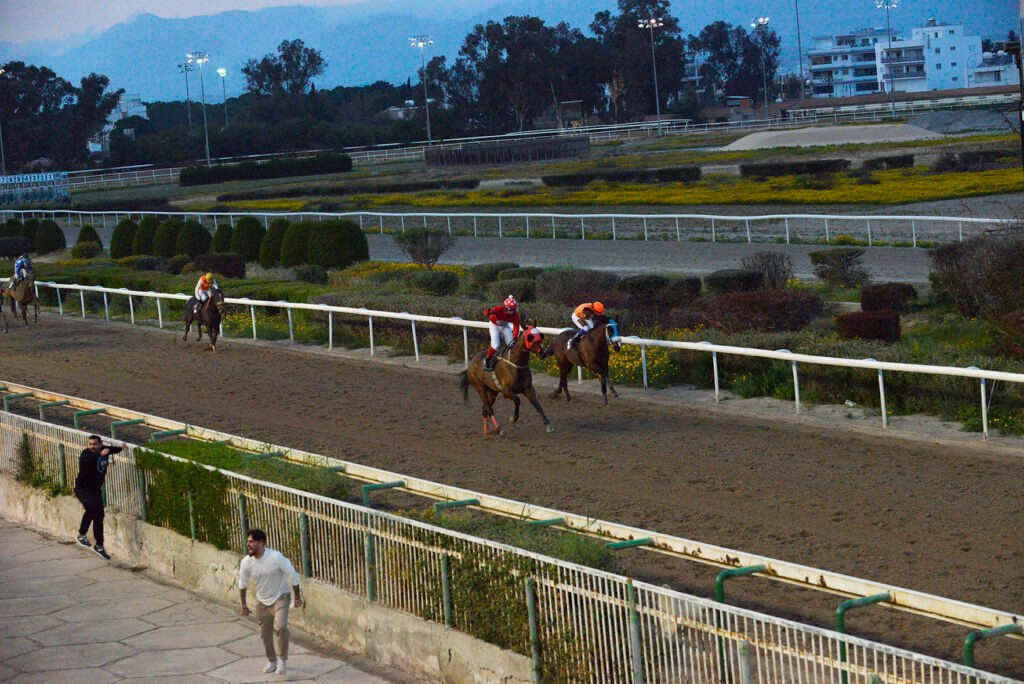 MIKROS ARTEMIS – SAINT LEGER_STK9536