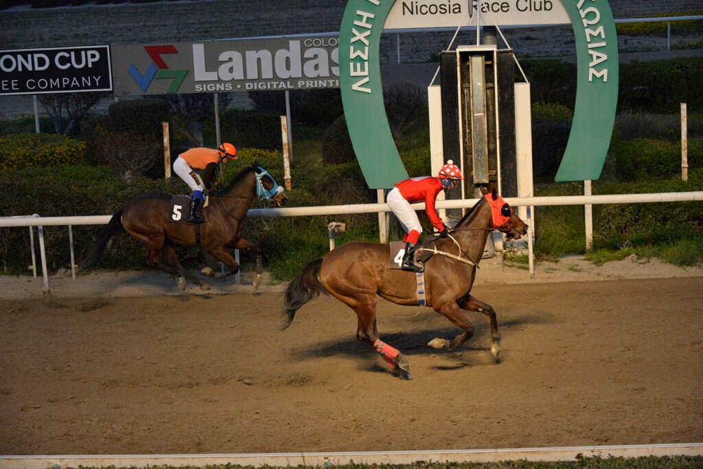 Ταξινομημένα 768 άλογα 1 MIKROS ARTEMIS – SAINT LEGER_STK9539