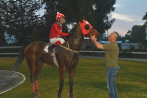 MIKROS ARTEMIS – SAINT LEGER_STK9540