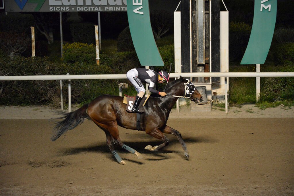 MIKROS SPYROS_STK9477