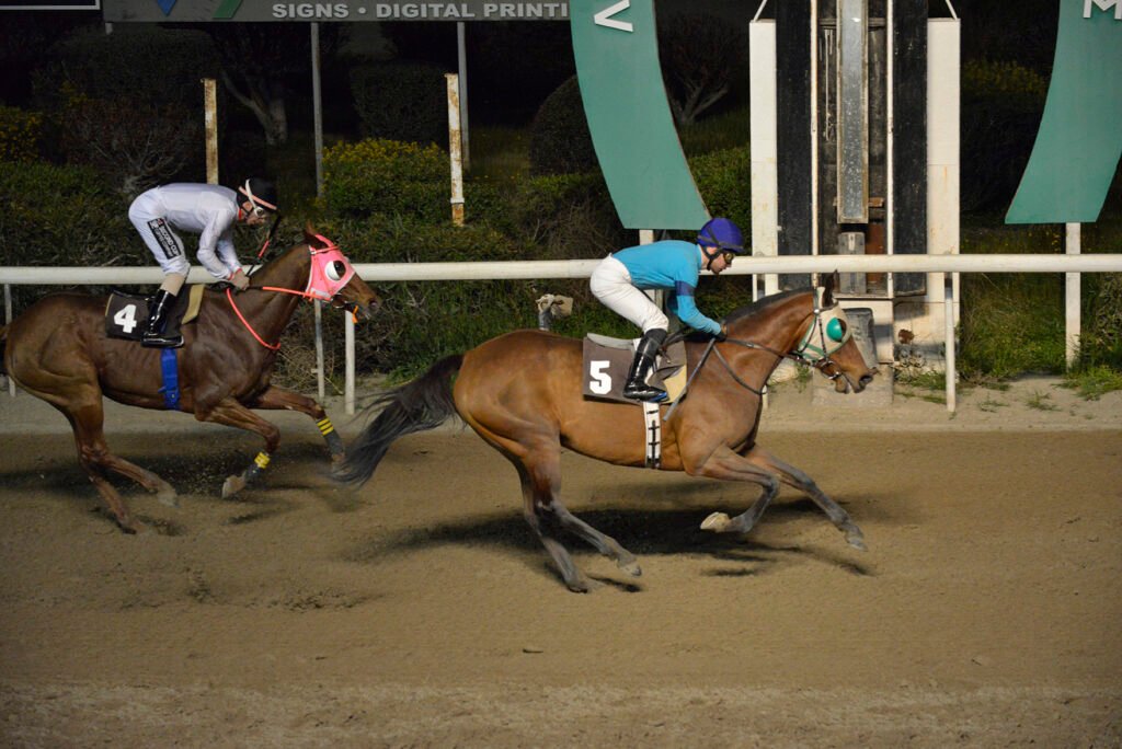 PRINCESS RANIA_STK9473