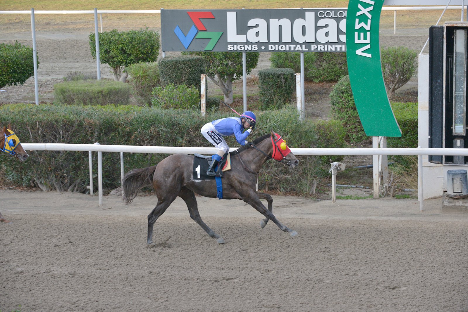 Ιπποφορβείο Χ” Γιάννη: 55 χρόνια - 1.191 νίκες 1 ROBIN STONE – 1 28102019