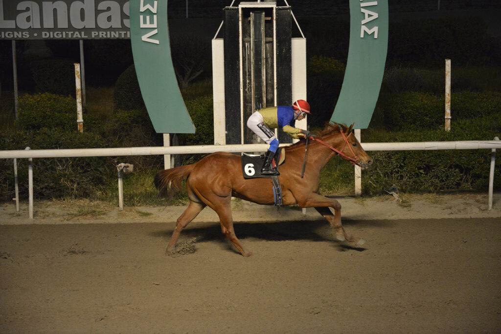 SHIAN 23.3.25_STK0653
