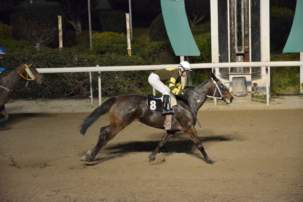 TSERKOTISSA MIRACLE_STK9664