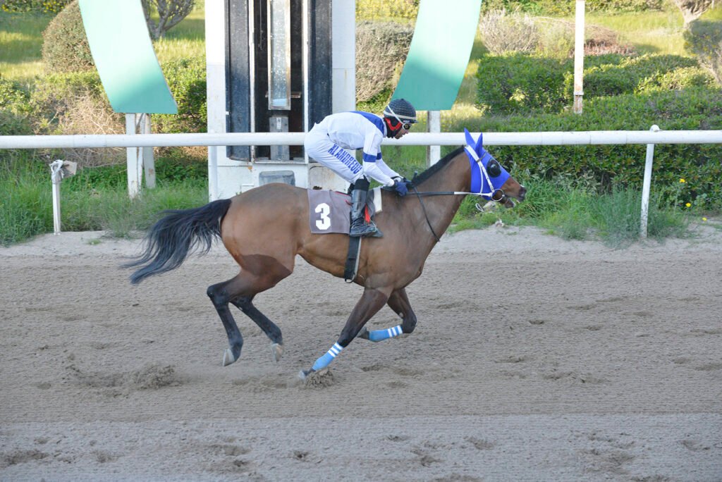 VRAKAS LEGASY 1.3.2025_STK9336