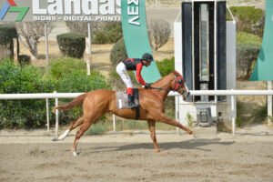 1_ARMY HORSE_STK2271