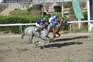 2_1_ATHENIAN PRINCESS