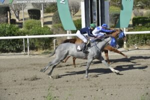 2_2_ATHENIAN PRINCESS