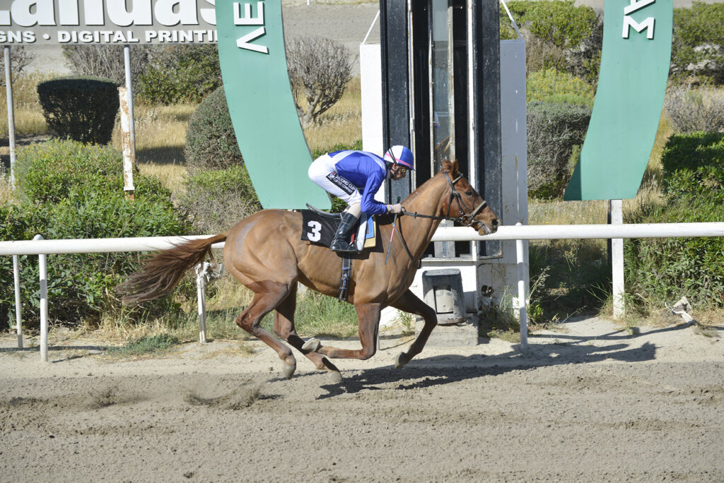 2_SAN DIEGO_STK1643