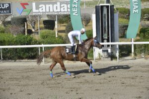 3_2_LADY LAZ