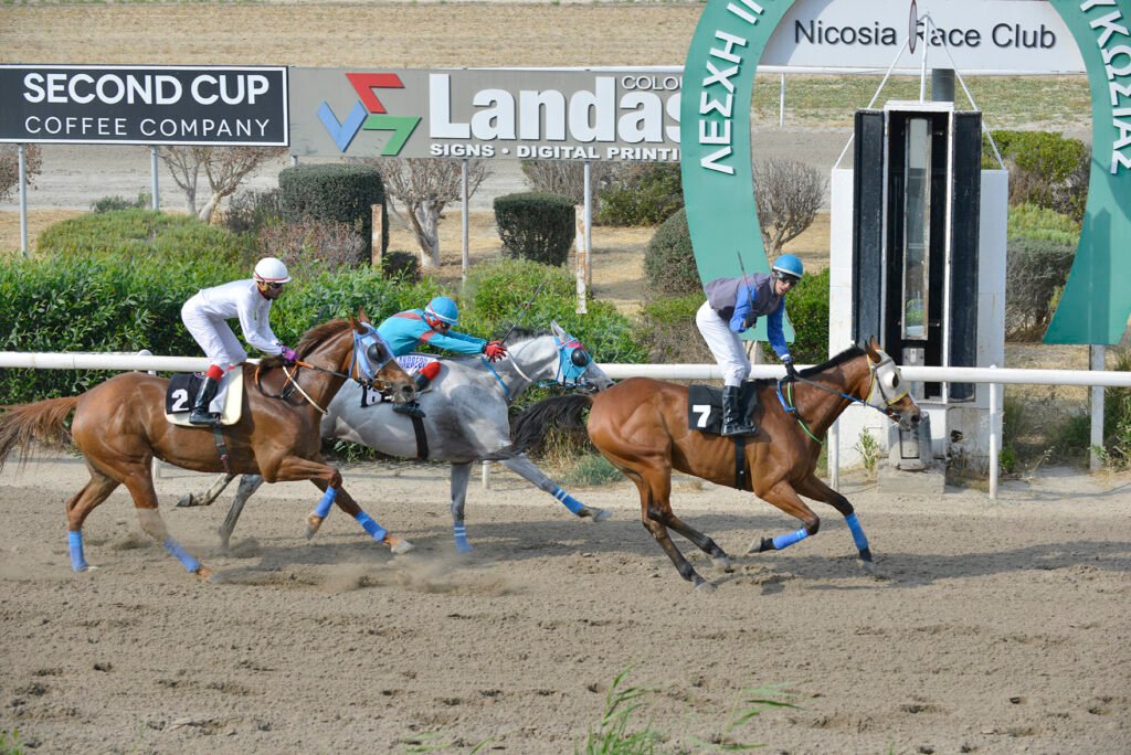 3_SAVAN MYRIA_STK2317