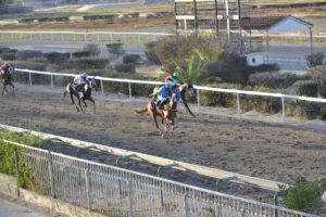 7_1_KRITIKOS OMERAGA