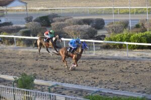 7_2_KRITIKOS OMERAGA