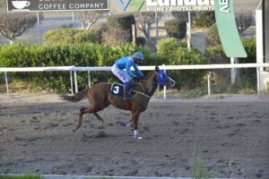 7_3_KRITIKOS OMERAGA