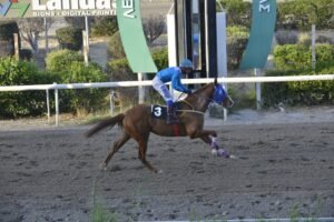 7_4_KRITIKOS OMERAGA