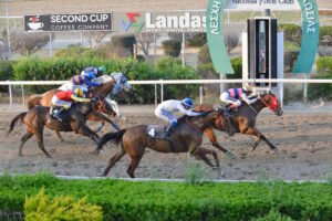 7_TARAS LIGHT_STK2373