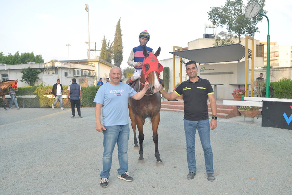 7_TARAS LIGHT_STK2377