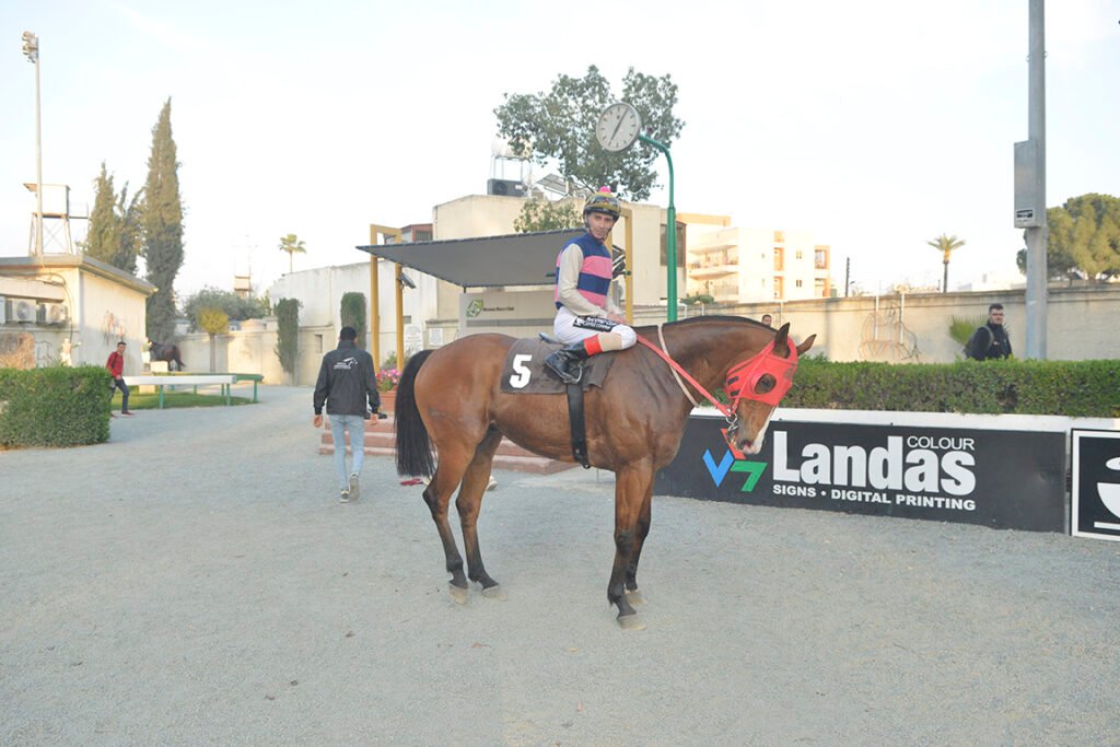 7_TARAS LIGHT_STK2382