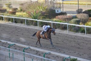 EBABE EP. MARATHONOS 16.3.25_STK9732