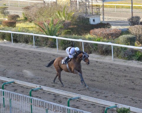 EBABE EP. MARATHONOS 16.3.25_STK9732