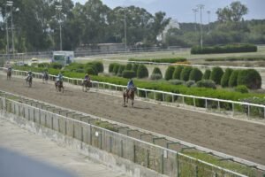 ΙΠΠΟΔΡΟΜΟΣ ΚΥΠΡΟΣ / IPPODROMOS KYPROS ODISSEAS ΟΔΥΣΣΕΑΣ - 28/05/2025