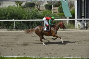 1_1_SOFIAGRACE SANTI ΣΟΦΙΑΓΚΡΕΗΣ ΣΑΝΤΗ - 25/05/2025 ΚΥΠΡΙΑΚΟΣ ΙΠΠΟΔΡΟΜΟΣ