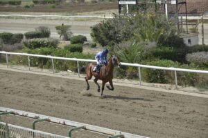 ΙΠΠΟΔΡΟΜΟΣ ΚΥΠΡΟΣ / IPPODROMOS KYPROS ODISSEAS ΟΔΥΣΣΕΑΣ - 28/05/2025