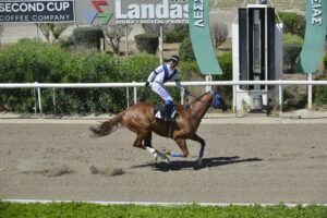 1_3_SER VRAKAS / ΣΕΡ ΒΡΑΚΑΣ - ΙΠΠΟΔΡΟΜΟΣ ΚΥΠΡΟΣ - 18/05/2025