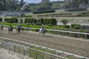 2_1_ICEBERG / ΑΗΣΜΠΕΡΓΚ - 21/05/2025 - ΙΠΠΟΔΡΟΜΟΣ ΚΥΠΡΟΣ