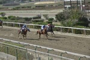 ΙΠΠΟΔΡΟΜΟΣ ΚΥΠΡΟΣ / IPPODROMOS KYPROS QUEEN RODOTHEA ΚΟΥΗΝ ΡΟΔΟΘΕΑ - ΕΠΑΘΛΟ ΜΙΑΣ ΜΗΛΙΑΣ - 28/05/2025