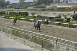 2_1_SIR LAKAROS ΣΕΡ ΛΑΚΑΡΟΣ - 25/05/2025 ΚΥΠΡΙΑΚΟΣ ΙΠΠΟΔΡΟΜΟΣ