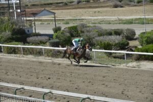 2_1_TERBINATA / ΤΕΡΜΠΙΝΑΤΑ ΙΠΠΟΔΡΟΜΟΣ ΚΥΠΡΟΣ - 18/05/2025