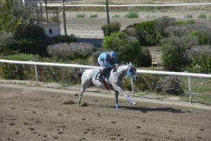 2_2_ICEBERG / ΑΗΣΜΠΕΡΓΚ - 21/05/2025 - ΙΠΠΟΔΡΟΜΟΣ ΚΥΠΡΟΣ