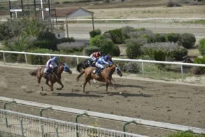 ΙΠΠΟΔΡΟΜΟΣ ΚΥΠΡΟΣ / IPPODROMOS KYPROS QUEEN RODOTHEA ΚΟΥΗΝ ΡΟΔΟΘΕΑ - ΕΠΑΘΛΟ ΜΙΑΣ ΜΗΛΙΑΣ - 28/05/2025