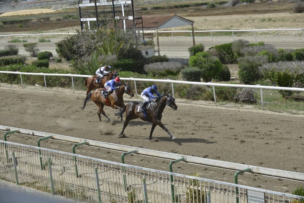 2_2_SIR LAKAROS ΣΕΡ ΛΑΚΑΡΟΣ - 25/05/2025 ΚΥΠΡΙΑΚΟΣ ΙΠΠΟΔΡΟΜΟΣ