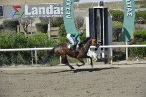 2_2_TERBINATA / ΤΕΡΜΠΙΝΑΤΑ ΙΠΠΟΔΡΟΜΟΣ ΚΥΠΡΟΣ - 18/05/2025