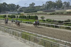 ΙΠΠΟΔΡΟΜΟΣ ΚΥΠΡΟΣ / IPPODROMOS KYPROS CHACKY ΤΣΙΑΚΥ - 28/05/2025