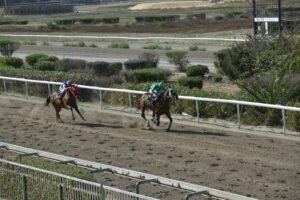 3_1_DIAMOND IASONAS  / ΝΤΑΗΑΜΟΝΤ ΙΑΣΩΝΑΣ - 21/05/2025 - ΙΠΠΟΔΡΟΜΟΣ ΚΥΠΡΟΣ