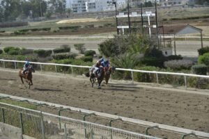 ΙΠΠΟΔΡΟΜΟΣ ΚΥΠΡΟΣ / IPPODROMOS KYPROS CHACKY ΤΣΙΑΚΥ - 28/05/2025