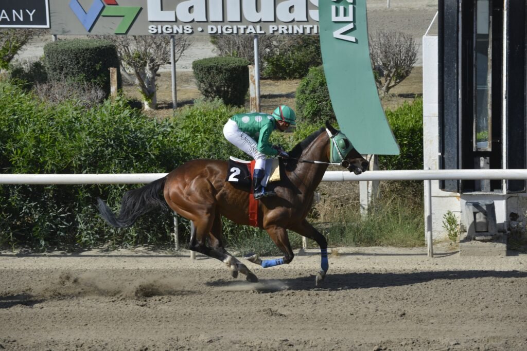 3_2_DIAMOND IASONAS  / ΝΤΑΗΑΜΟΝΤ ΙΑΣΩΝΑΣ - 21/05/2025 - ΙΠΠΟΔΡΟΜΟΣ ΚΥΠΡΟΣ