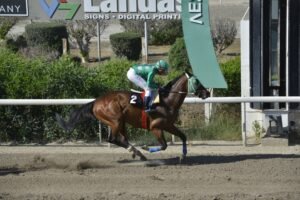 3_2_DIAMOND IASONAS  / ΝΤΑΗΑΜΟΝΤ ΙΑΣΩΝΑΣ - 21/05/2025 - ΙΠΠΟΔΡΟΜΟΣ ΚΥΠΡΟΣ