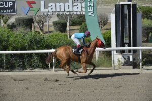 3_2_FEDRA  / ΦΑΙΔΡΑ ΙΠΠΟΔΡΟΜΟΣ ΚΥΠΡΟΣ - 18/05/2025