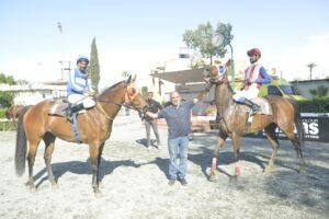 3_2_MIS TRACHONITISA