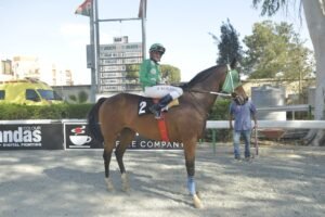 3_4_DIAMOND IASONAS  / ΝΤΑΗΑΜΟΝΤ ΙΑΣΩΝΑΣ - 21/05/2025 - ΙΠΠΟΔΡΟΜΟΣ ΚΥΠΡΟΣ