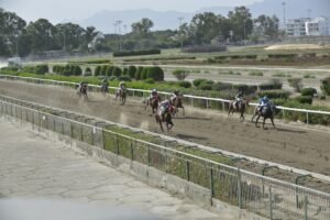4_1_PROFESSOR ΠΡΟΦΕΣΟΡ - 25/05/2025 ΚΥΠΡΙΑΚΟΣ ΙΠΠΟΔΡΟΜΟΣ