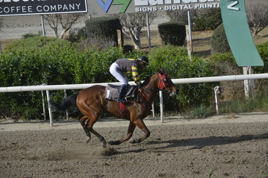 Ξέφυγε στην κορυφή η Μαστόρισσα 4 4_1_ΗΑLLIBALAK