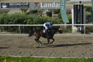 ΙΠΠΟΔΡΟΜΟΣ ΚΥΠΡΟΣ / IPPODROMOS KYPROS  MASTORISSA ΜΑΣΤΟΡΙΣΣΑ - ΕΠΑΘΛΟ ΑΣΣΙΑΣ - 28/05/2025