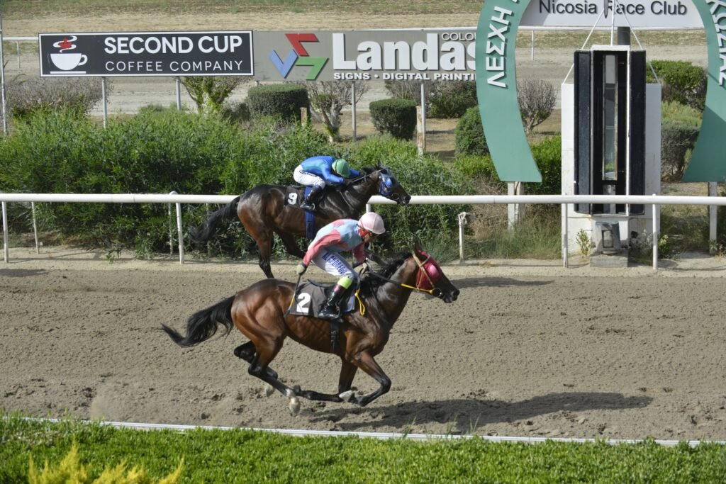 Άριστες ιππεύσεις ο Χ. Λ. Ανδρέου 3 4_2_PROFESSOR ΠΡΟΦΕΣΟΡ - 25/05/2025 ΚΥΠΡΙΑΚΟΣ ΙΠΠΟΔΡΟΜΟΣ