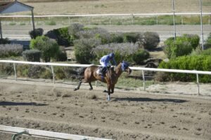 4_2_TRACHONITIS  / ΤΡΑΧΩΝΙΤΗΣ ΙΠΠΟΔΡΟΜΟΣ ΚΥΠΡΟΣ - 18/05/2025