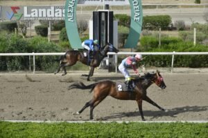 4_3_PROFESSOR ΠΡΟΦΕΣΟΡ - 25/05/2025 ΚΥΠΡΙΑΚΟΣ ΙΠΠΟΔΡΟΜΟΣ